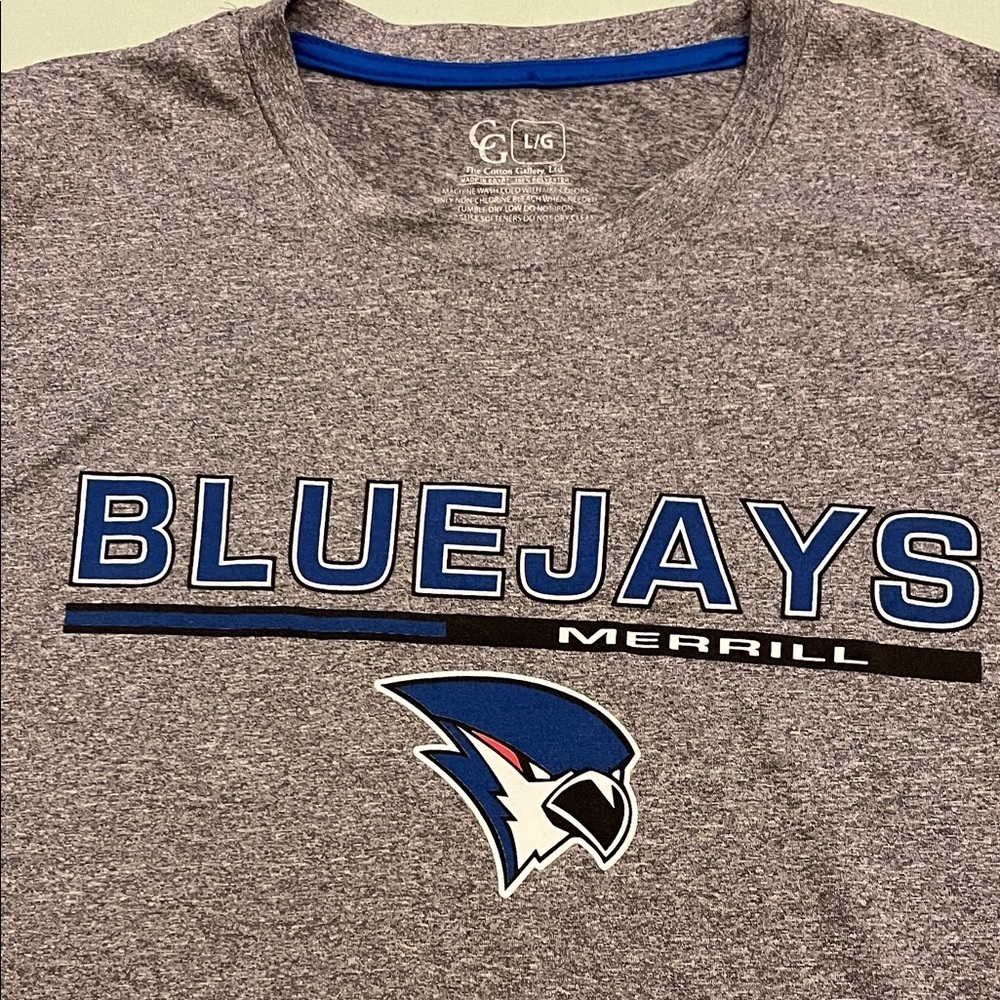 Blue and Gray Men's Tee size L - Picture 4 of 6
